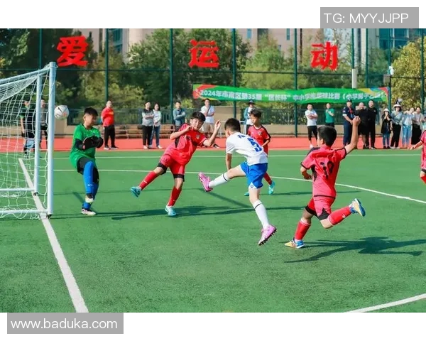 24号球星闪耀绿茵场 展现独特魅力与无敌风采 24号球星闪耀绿茵场 展现独特魅力与无敌风采